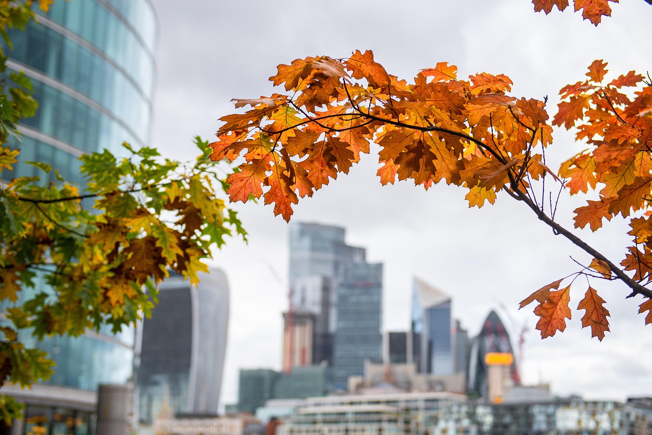 Greenwich Peninsula's Commercial Boom: A New Wave of Business Signings